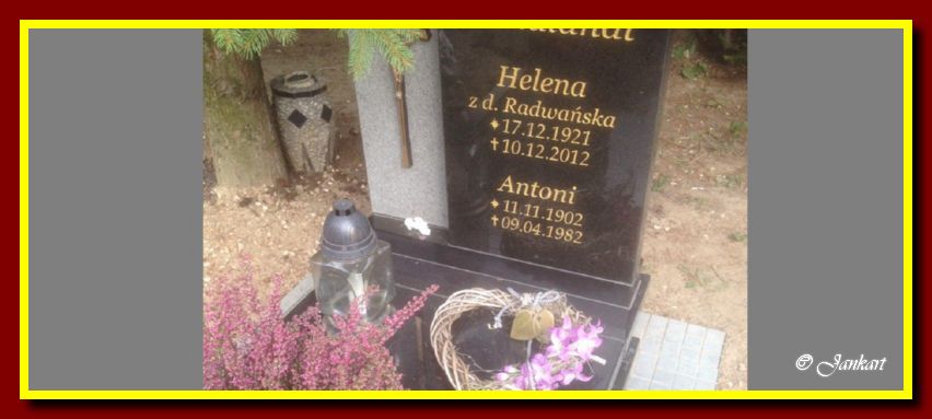 Wendlandt A.H.